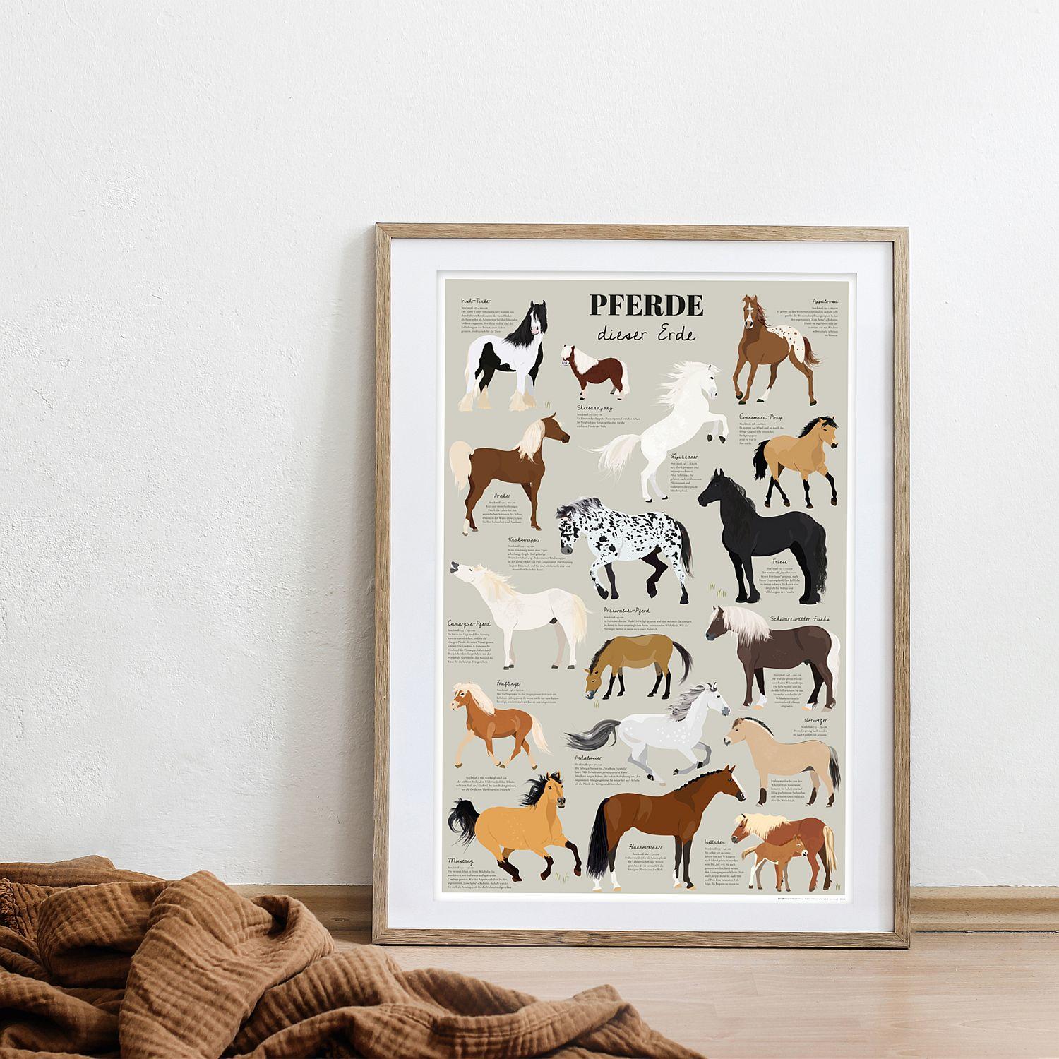 Horses of the World Poster -  Portugal