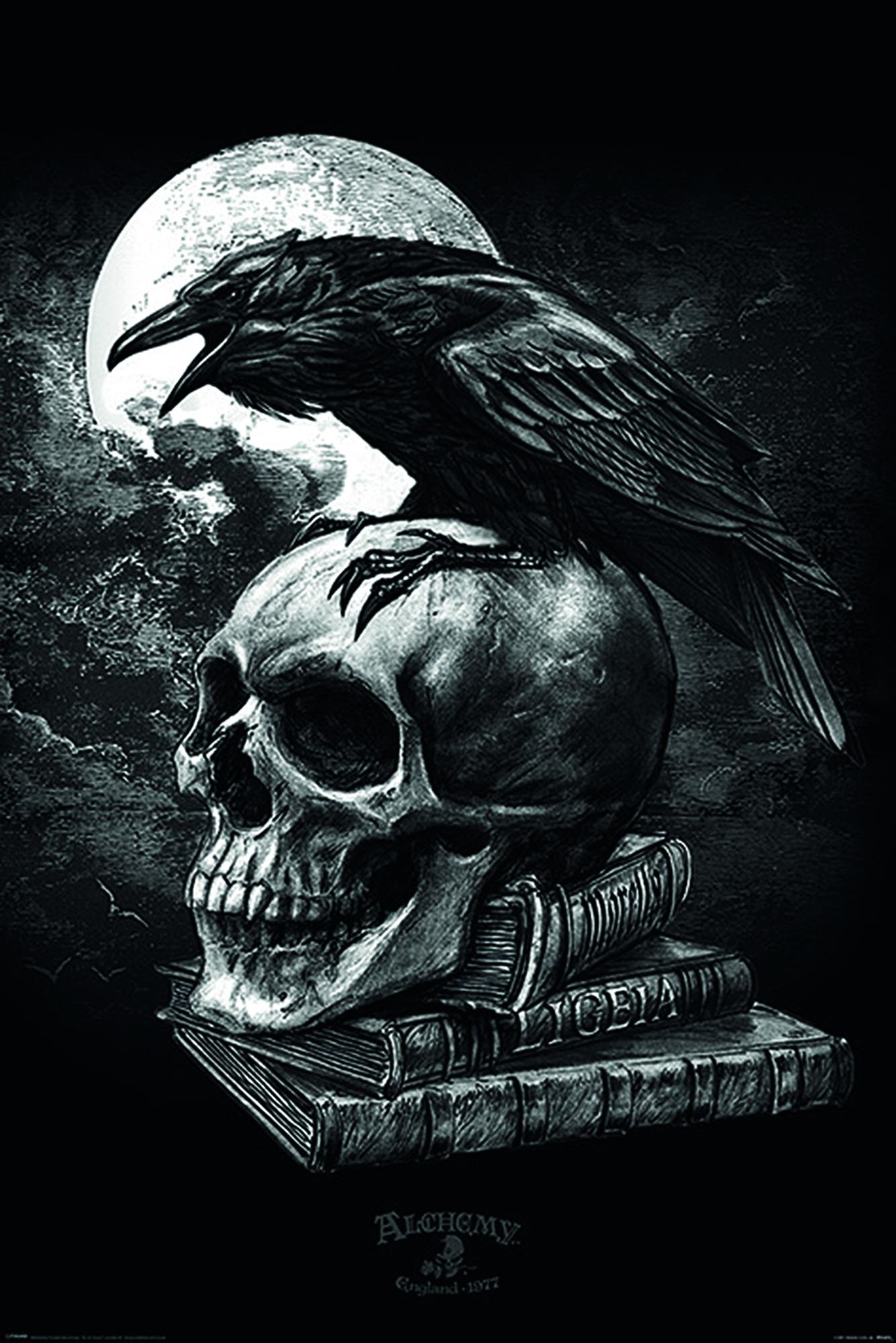 Alchemy Poster Poe's Raven