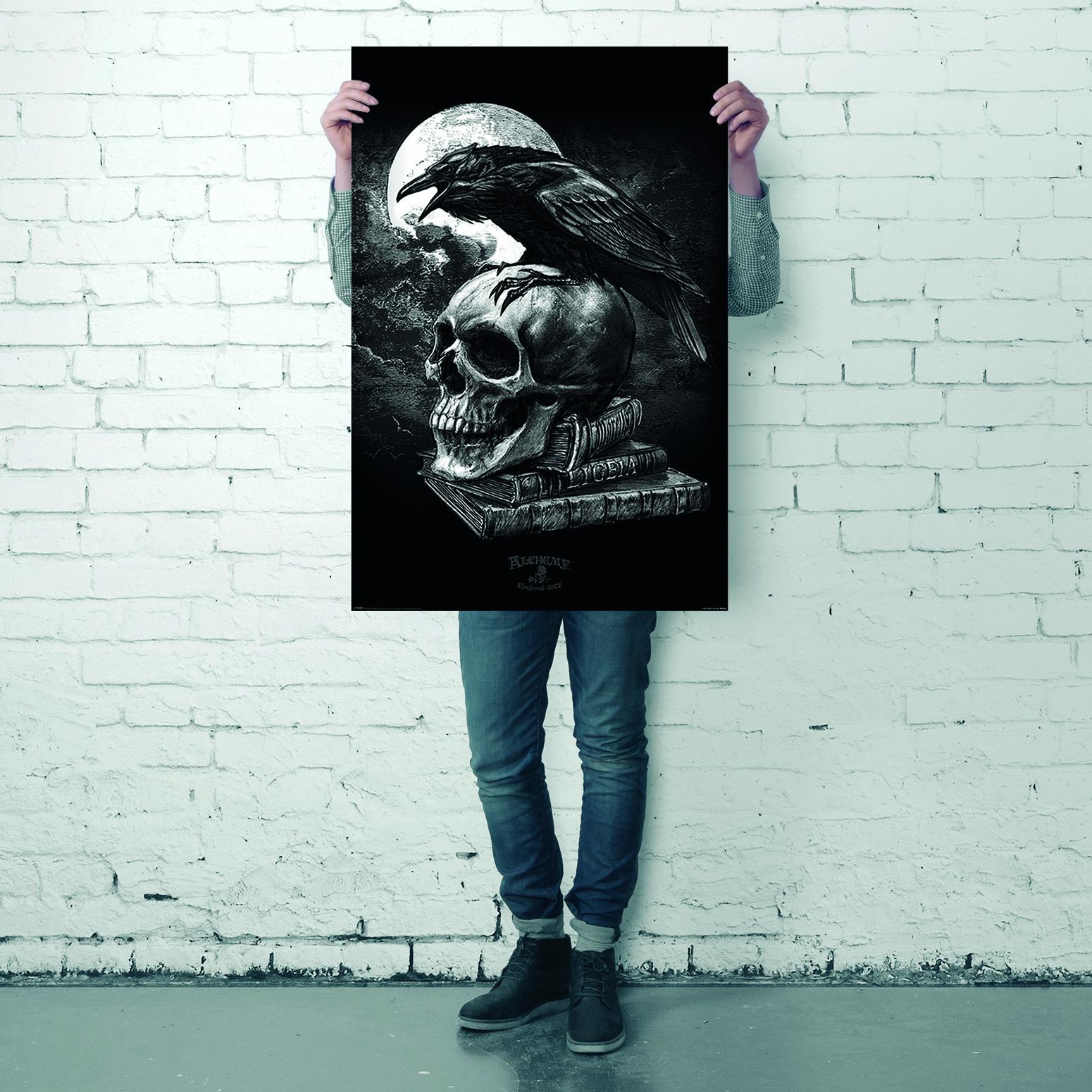 Alchemy Poster Poe's Raven